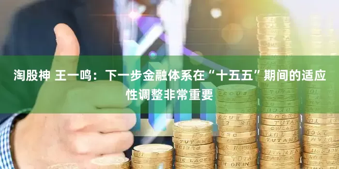 淘股神 王一鸣：下一步金融体系在“十五五”期间的适应性调整非常重要