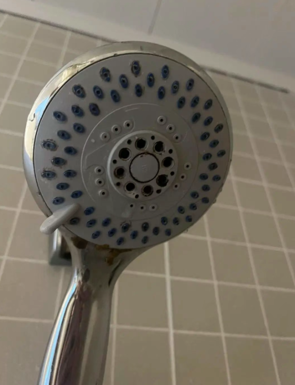 丰泰优配 女子称入住酒店后发现“花洒有排泄物” 店长称“保证房间没问题”，当地相关部门介入调查_大皖新闻 | 安徽网