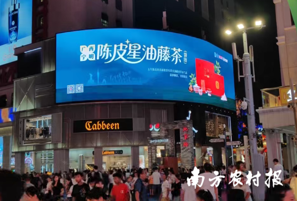 东兴证券 东西协作“四个共享”串联市场，宁明星油藤出山进湾